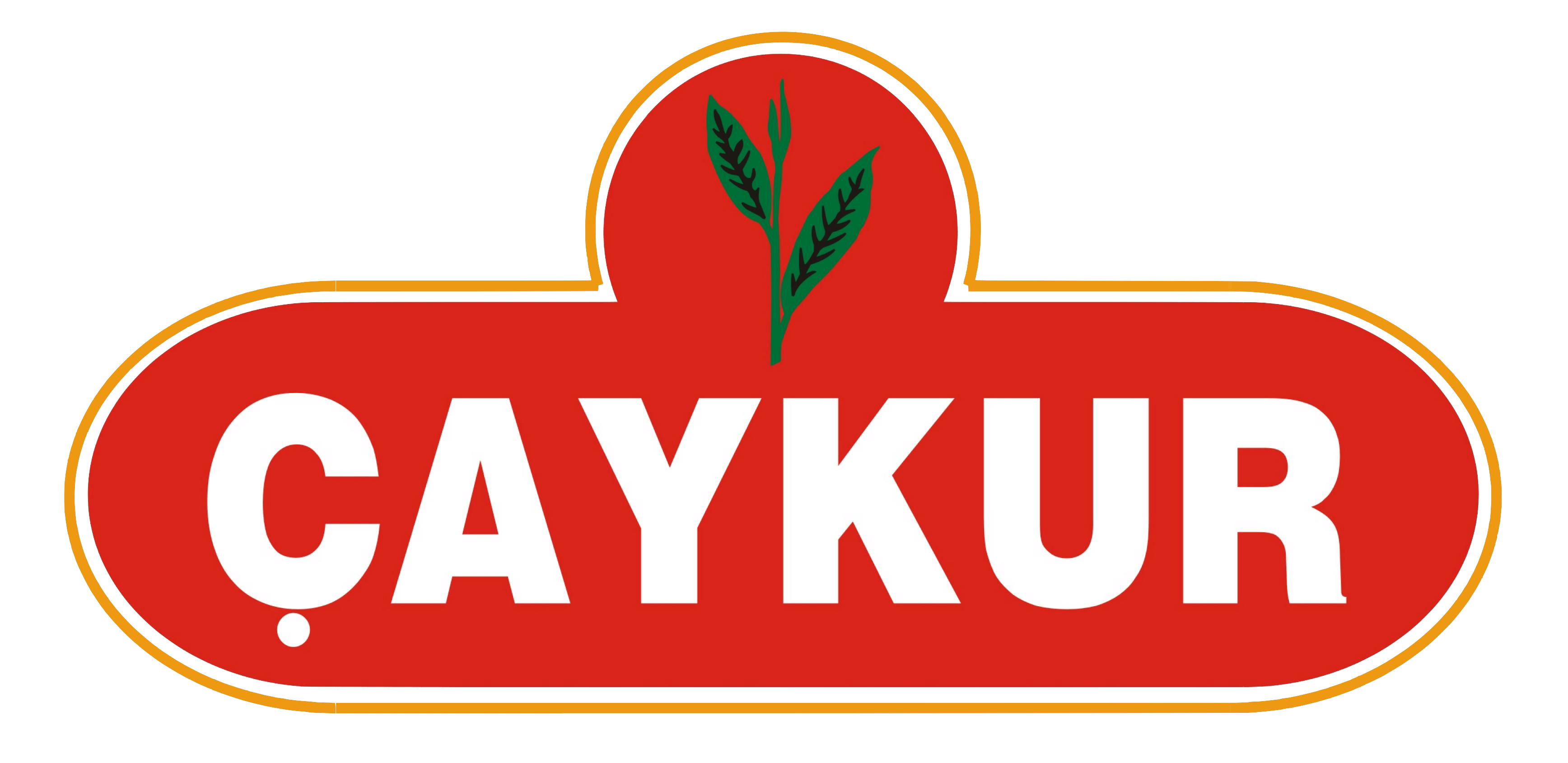 Çaykur