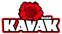 Kavak